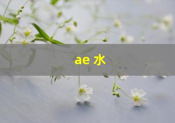 ae 水